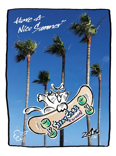 Have A Nice Summer
